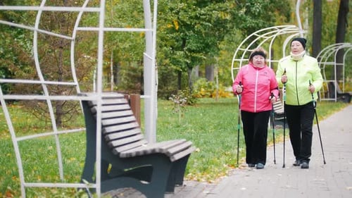 Senior Women Enjoying Nordic Walking in a Park