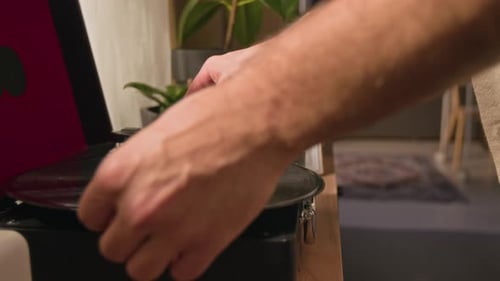 Vinyl Record Player in Living Room with Plants