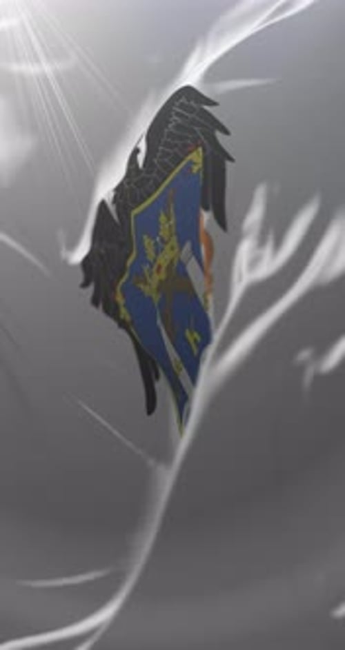 Elegant Coat of Arms Unfolding on Waving Cloth Animation