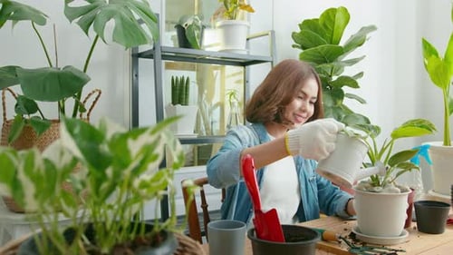 Woman Watering House Plants Indoors at Table