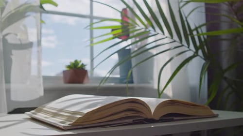 Open Book In Sunlight By Window Close Up