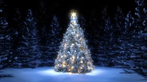 Christmas Tree in Forest