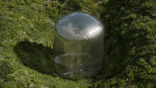 Surreal Shape Inflating Loop 3D Animation