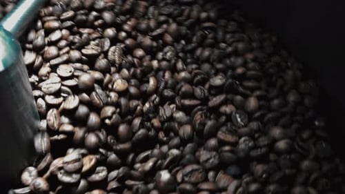 Coffee Beans Tumbling in Roaster