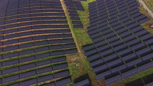 Solar panels are arranged in rows across a large green field