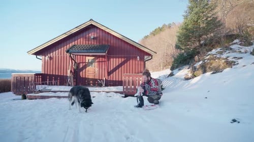 Man Attaches Snowshoes With Husky Dog on Sunny Winter Day