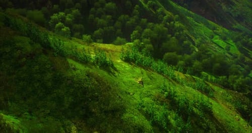 Lush Green Hills Inviting Adventure in a Tranquil Landscape