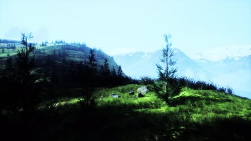 Grassy Hill With Trees and Mountain Background