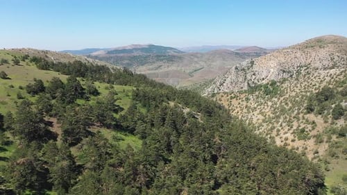 Aerial View Of Trees And Mountains