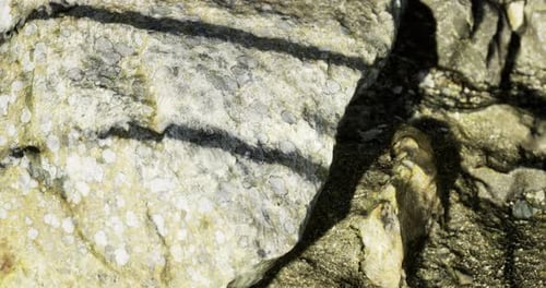 Exploring the Textures and Shadows of Rugged Rock Formations in Nature