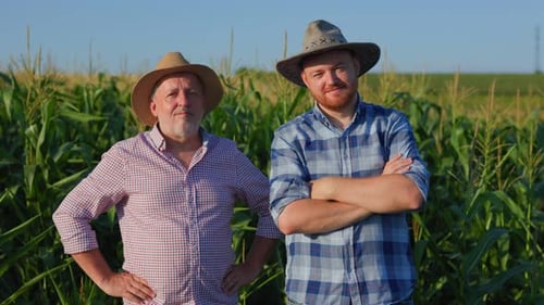 Positive Bearded Farmers Standing on Field and Smiling at Camera
