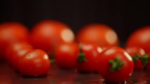 Ripe Red Tomatoes on Wet Surface