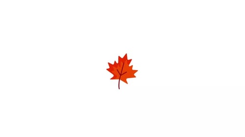 Maple Leaf Icon Animation