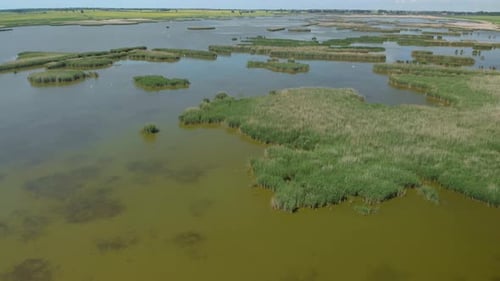 Aerial pan over a lush green marshland lake.