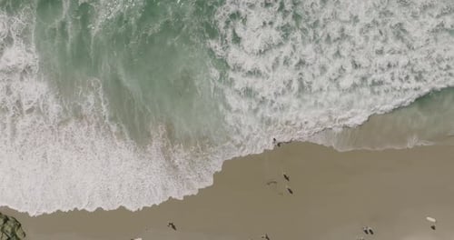 a beach with waves and people