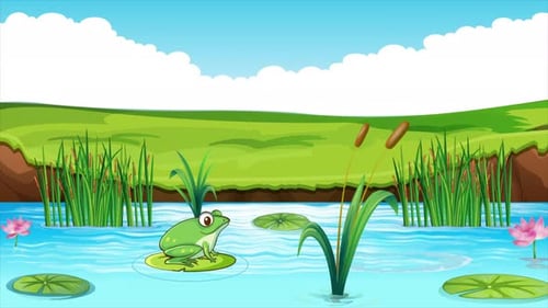 Ein Frosch schwimmt auf einem Blatt in einem See 4K