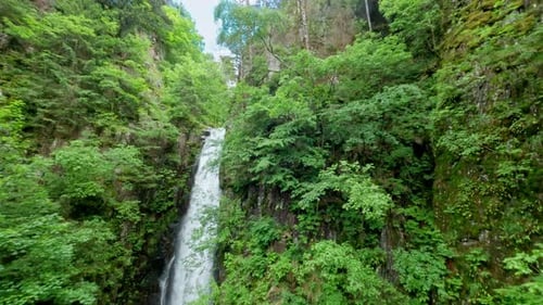 Tall waterfall cascading down a rocky cliff surrounded by lush green forest