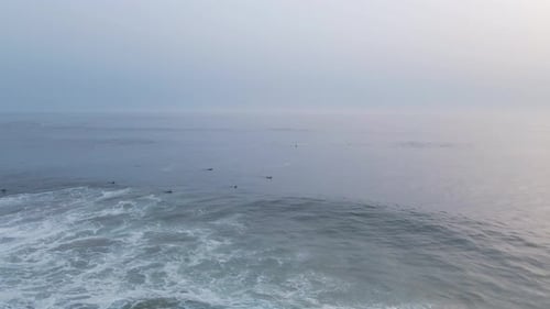 Aerial view of surfers on the ocean, Portugal.