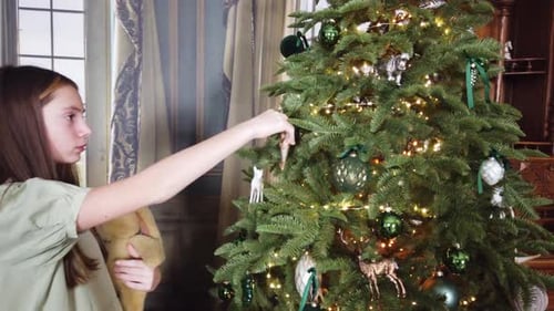 Decorating Christmas Tree