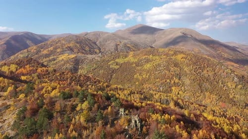 Vue aérienne des forêts et des montagnes colorées en automne