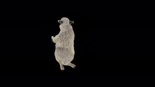 89 Sheep Dancing 4K