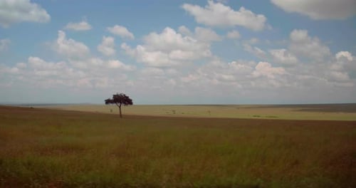 Aerial shot of fields of Kenya Masai Mara National Safari Reserve in Africa. Concept of vacations,