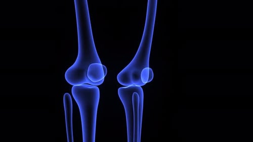3D Medical Animation of Human Knee Joint Flexion