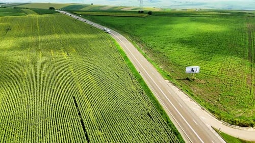 Lush green fields beside a winding road.