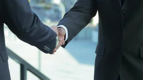 Business Handshake in Daylight