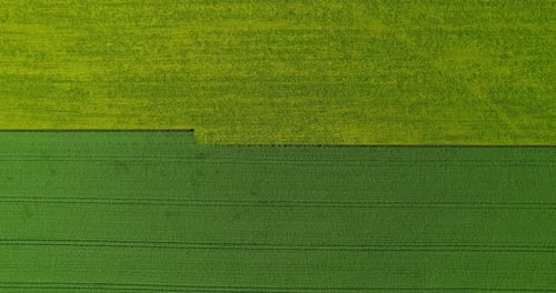 Field with Different Crops Aerial View