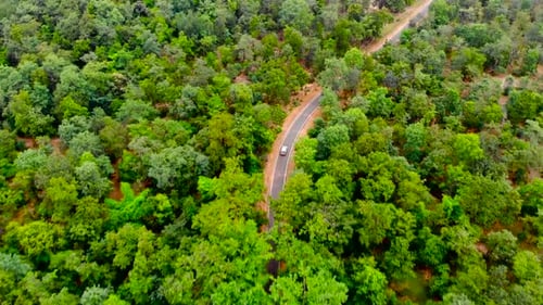 driving in the nature in India