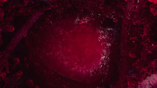 Voodoo Horror with Red Tentakles