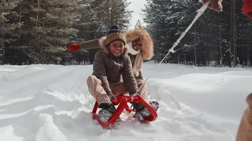 Cheerful Boy Sledging On Winter Day