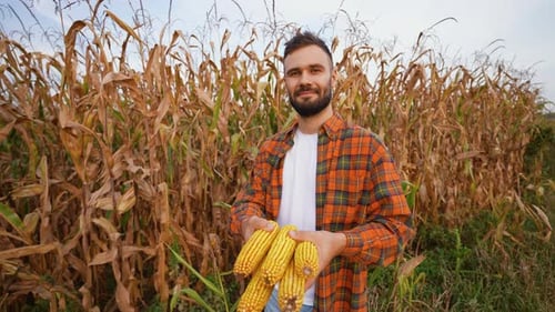 Man Holding Corn in Front of Cornfield