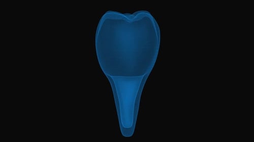 Blauzahnmodell auf schwarzem Hintergrund für Zahngesundheitskonzepte