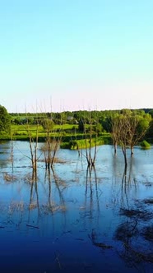 Tranquil Flooded Landscape with Submerged Trees