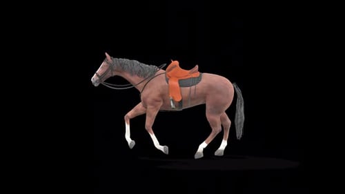 Racer Horse Run