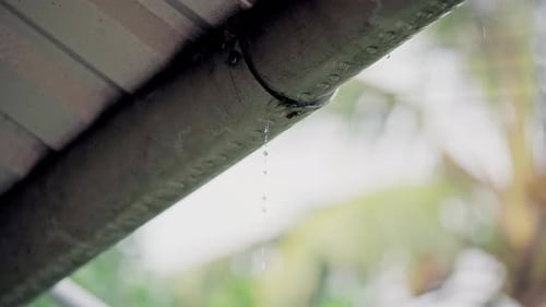 Rain water flows from the roof pipe with nature green background with rain. Slow motion
