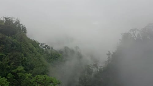 Lush humid tropical rainforest in Costa Rica with thick mist, aerial