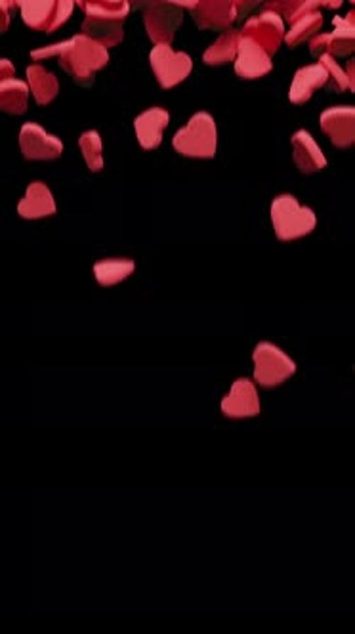 Hearts Fall Down and Fill Screen Area Vertical Video Social Media Concept 3d Render