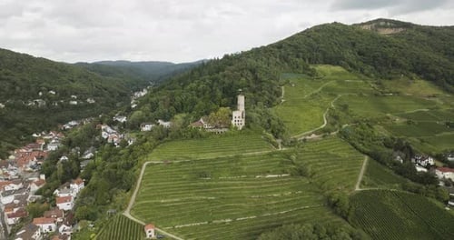 Aerial view of Strahlenburg Castle, Germany.