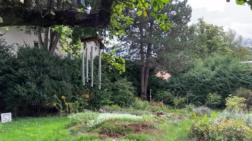 Static shot of wind chimes hanging in a slightly enchanted feral garden. Huge trees and bushes in th