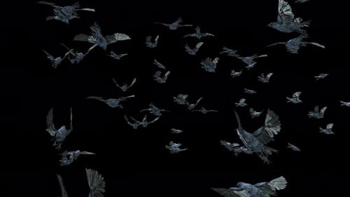 22 cuervo pájaro murciélago volando 4K