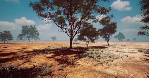Animated Arid Landscape with Scattered Eucalyptus Trees