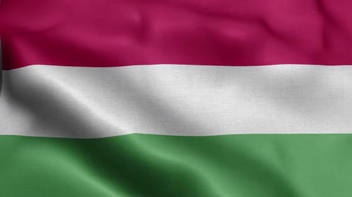 Ungarische Flaggenfront