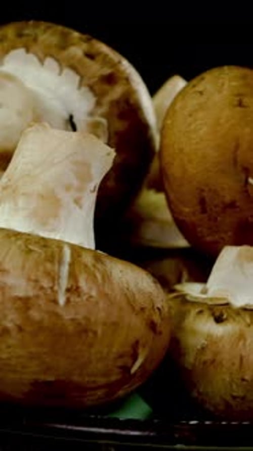 Les champignons royaux crus pris à la verticale tournent lentement sur fond noir