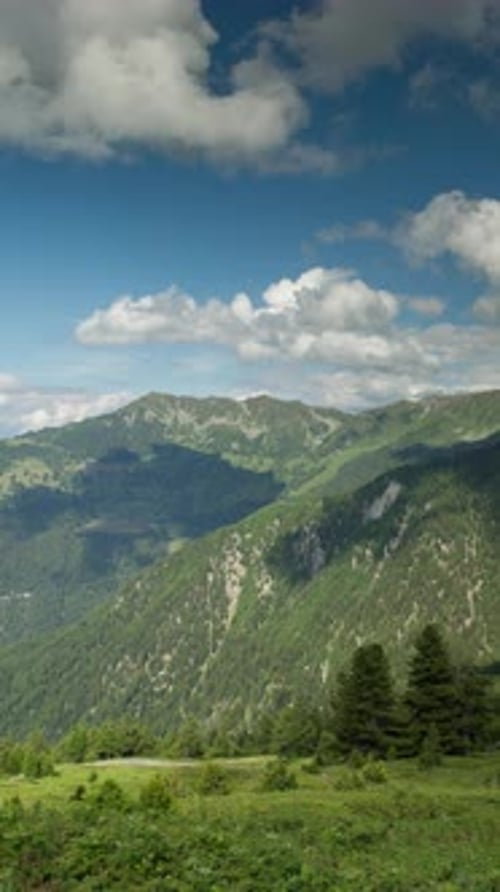 Alpes suisses montagneuses à la verticale