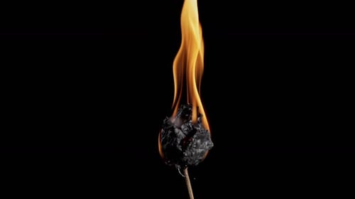Burning Rose with Flickering Flame on Black Background