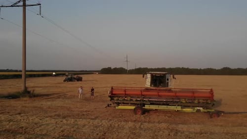 Wheat harvest at sunset with green combine at the field in Ukraine