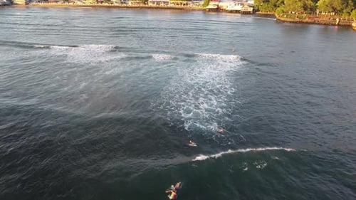 Surfers in Maui catching waves